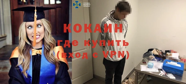 стаф Медногорск