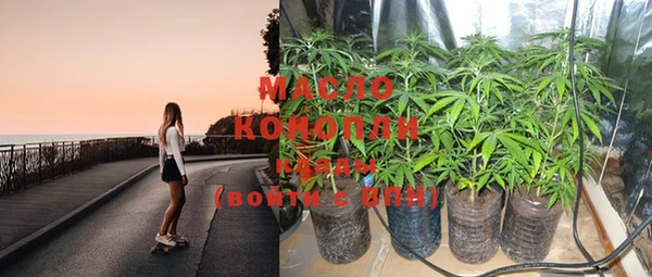 стаф Медногорск