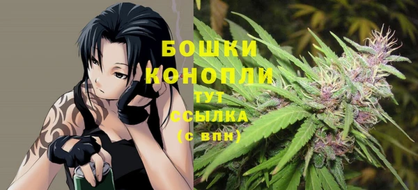 шишки Абинск
